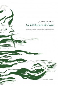 la-dechirure-CV1-Lynch-325x479